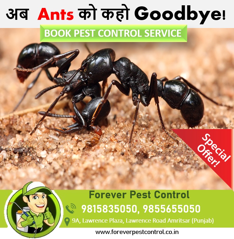 Ant Control